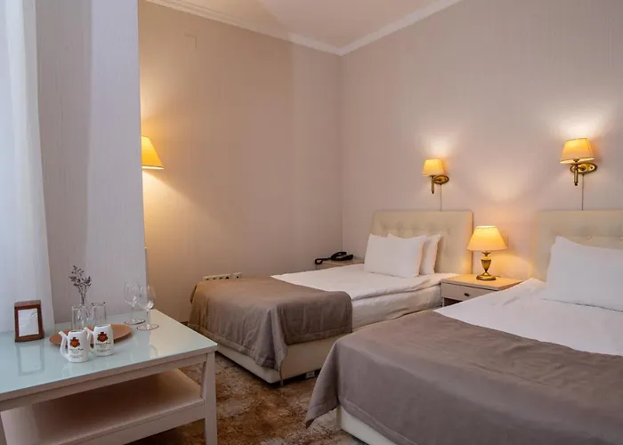 Kyivska Russ Medical&spa 酒店 4*